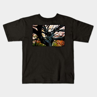 Huge trunk of a beech tree with numerous massive interwoven branches in Canfaito forest Kids T-Shirt